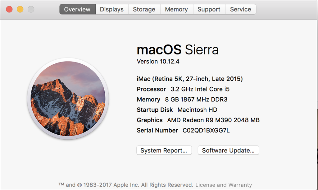 Macos core. Серийный номер IMAC. Об этом Mac. Макбук об этом Мак. Mac os процессор