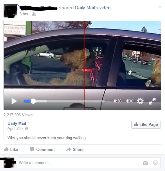 Red line in the middle of every video on Facebook and TV & Movies ...