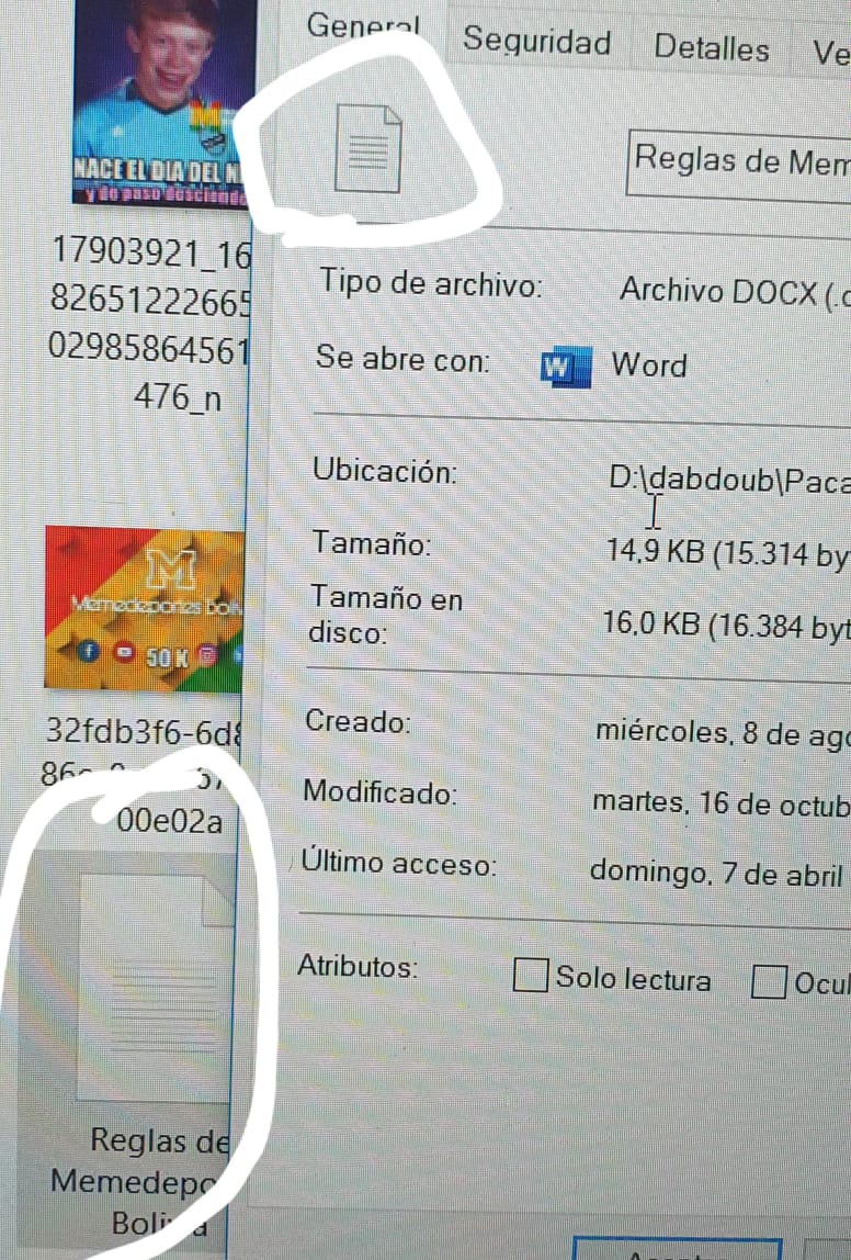 El logo externo de todos mis archivos en WORD, NO se ve, ni se - Microsoft  Community