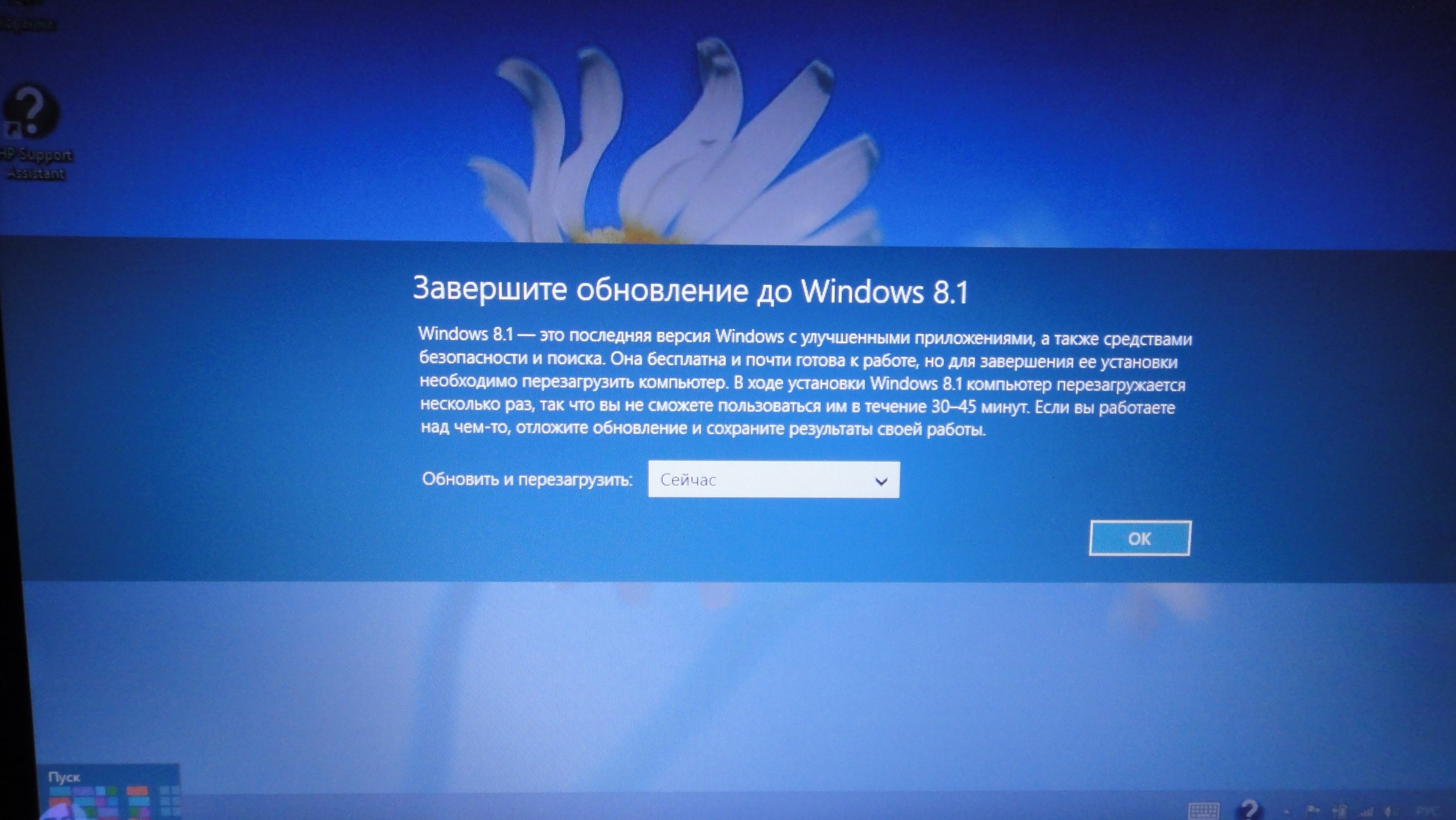     Windows 81  10  2023   - Shazoo