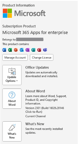 Why does the MS Word 