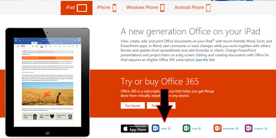 microsoft office 365 ipad