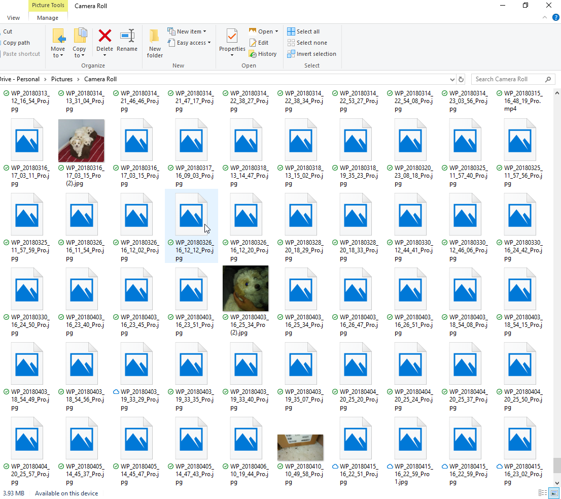 Windows 11 Folder Thumbnails Not Showing