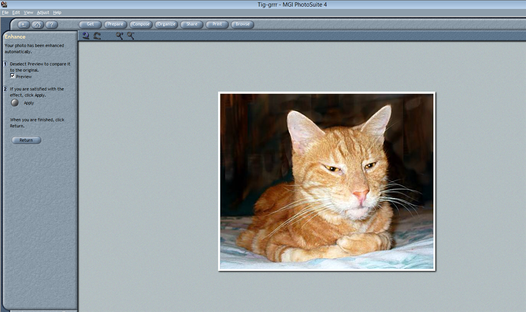 Photosuite