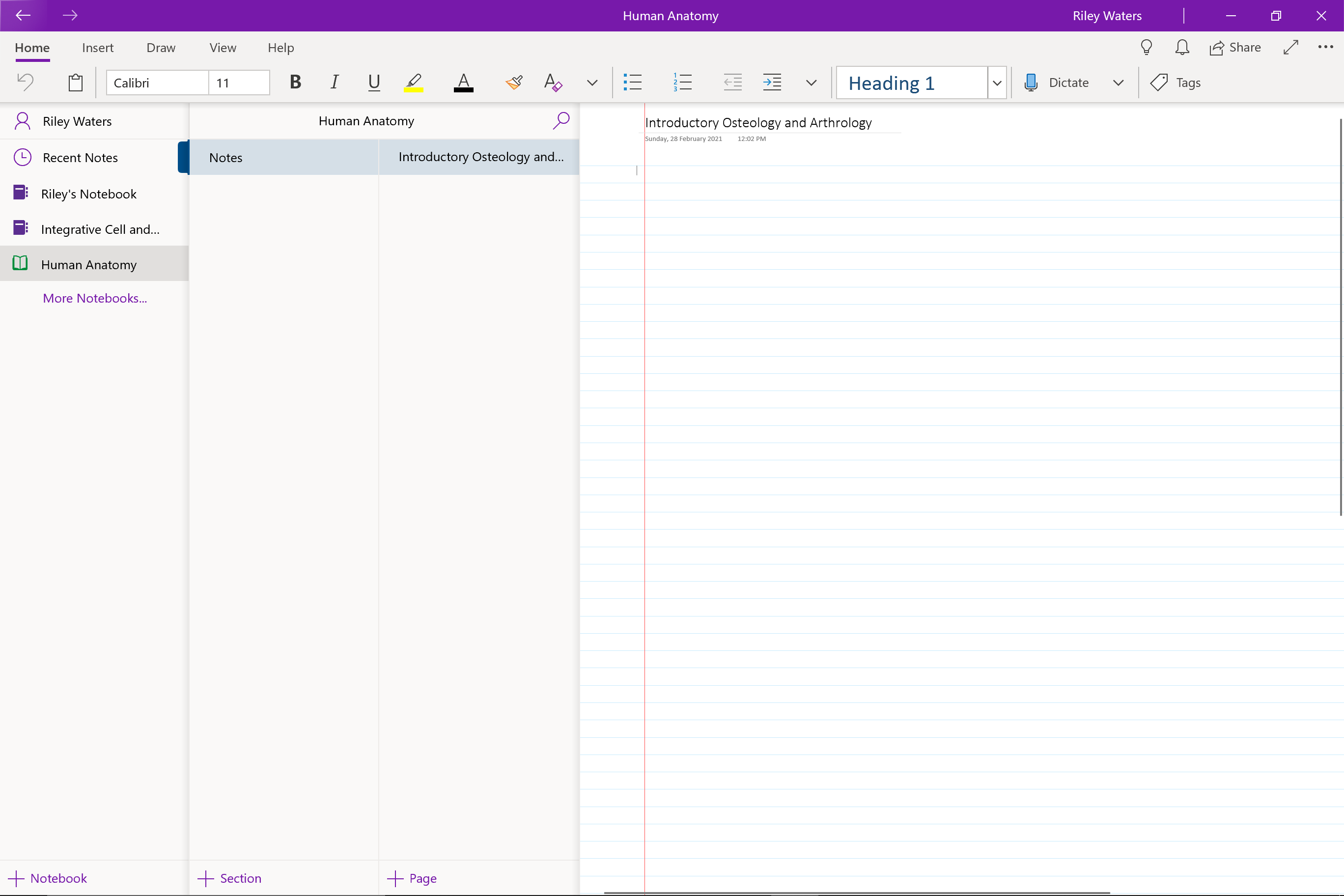 Onenote for windows 10 что это