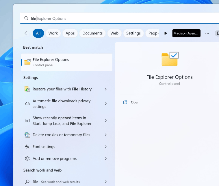 Only 'File Explorer Options' Shows Up When Trying To Open File ...