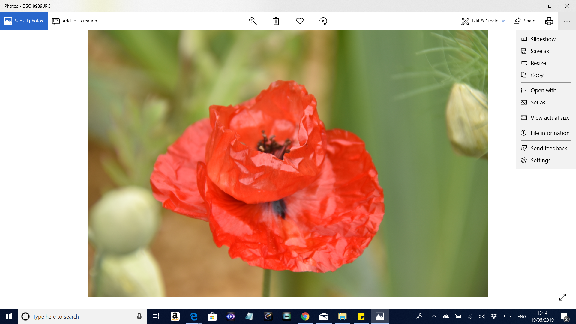 Windows 10 Photos Not Working Completely - Microsoft Community