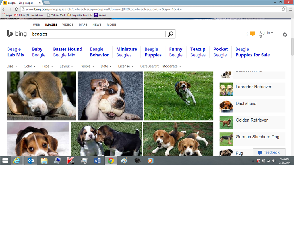 Bing Image Search: Not All Images Are Displaying (Black X - Microsoft ...