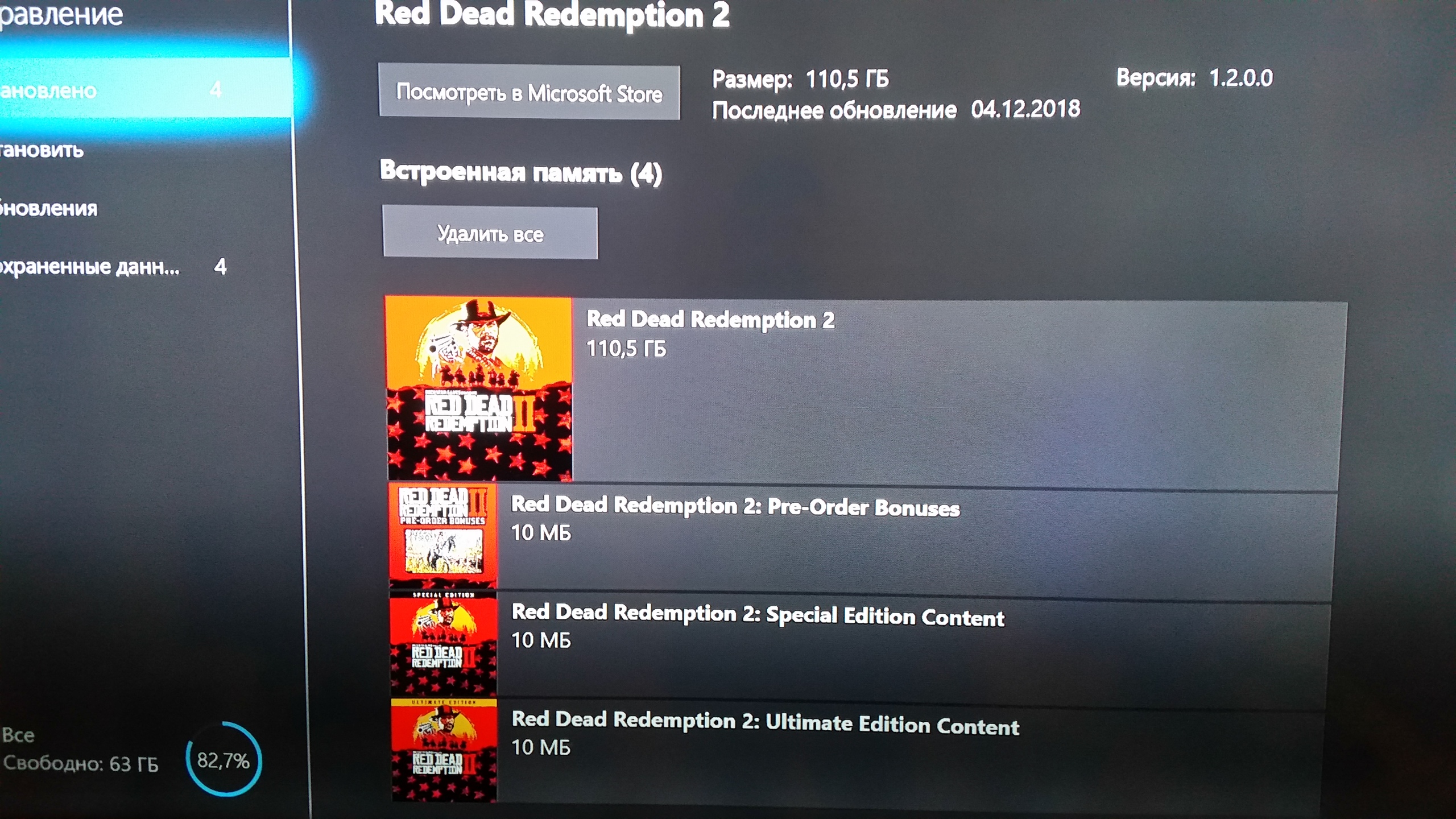 Red Dead Redemption 2, Software