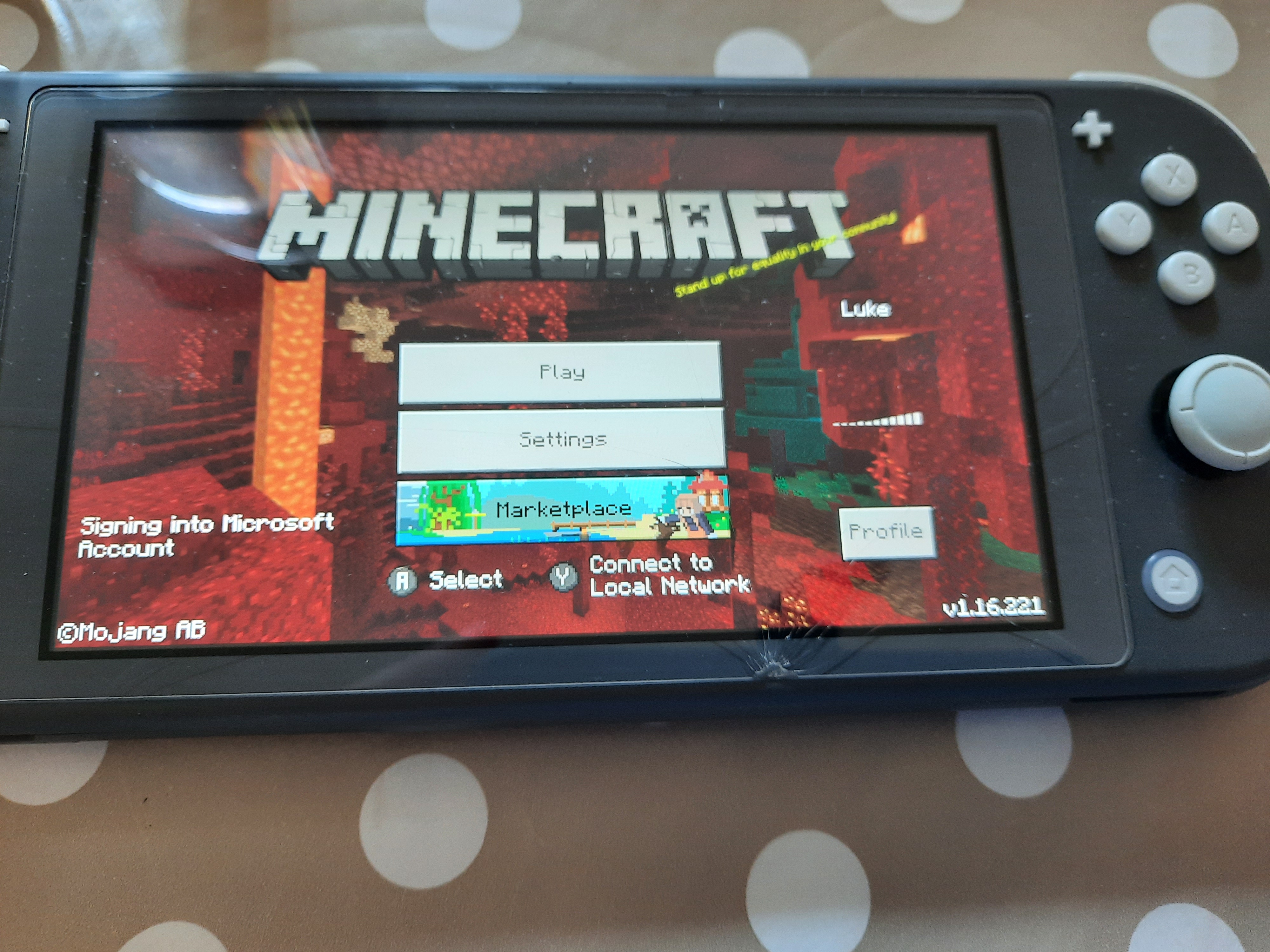 Minecraft on nintendo switch shop lite