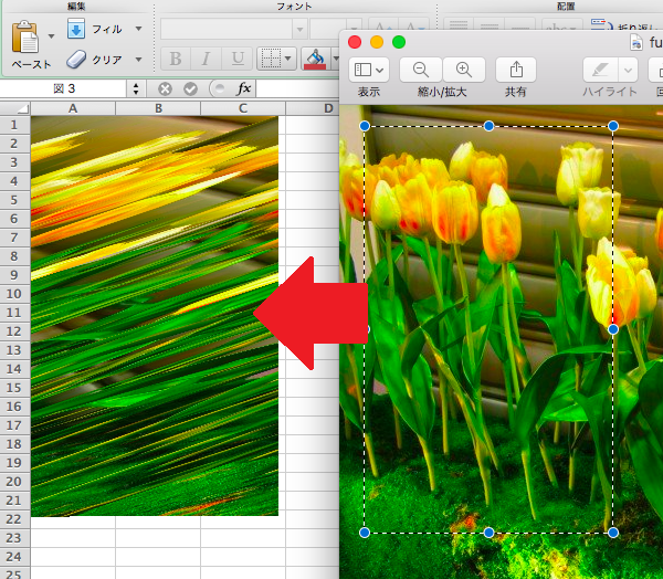 Excel For Mac 11で画像のコピーペーストをすると画像が歪む マイクロソフト コミュニティ
