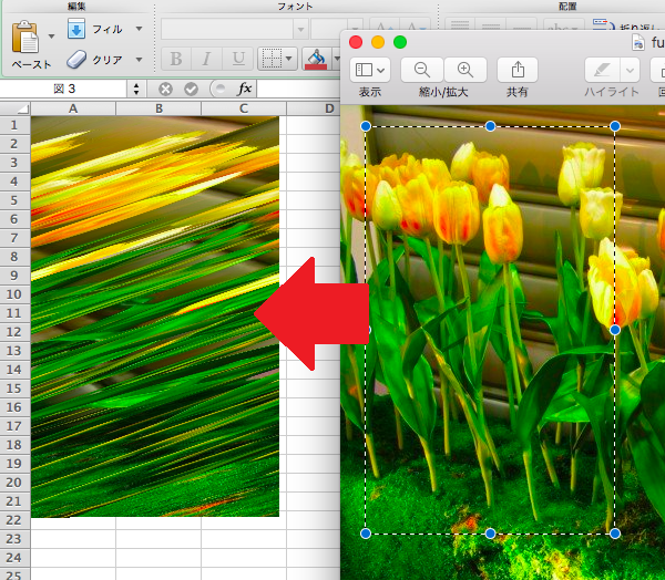 Excel For Mac 2011で画像のコピーペーストをすると画像が歪む Microsoft コミュニティ