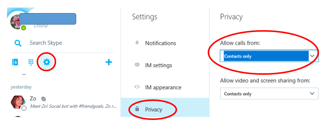 Skype Id Fake