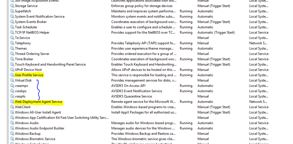 Service for Creating Shadow Copies could be named as -  web services