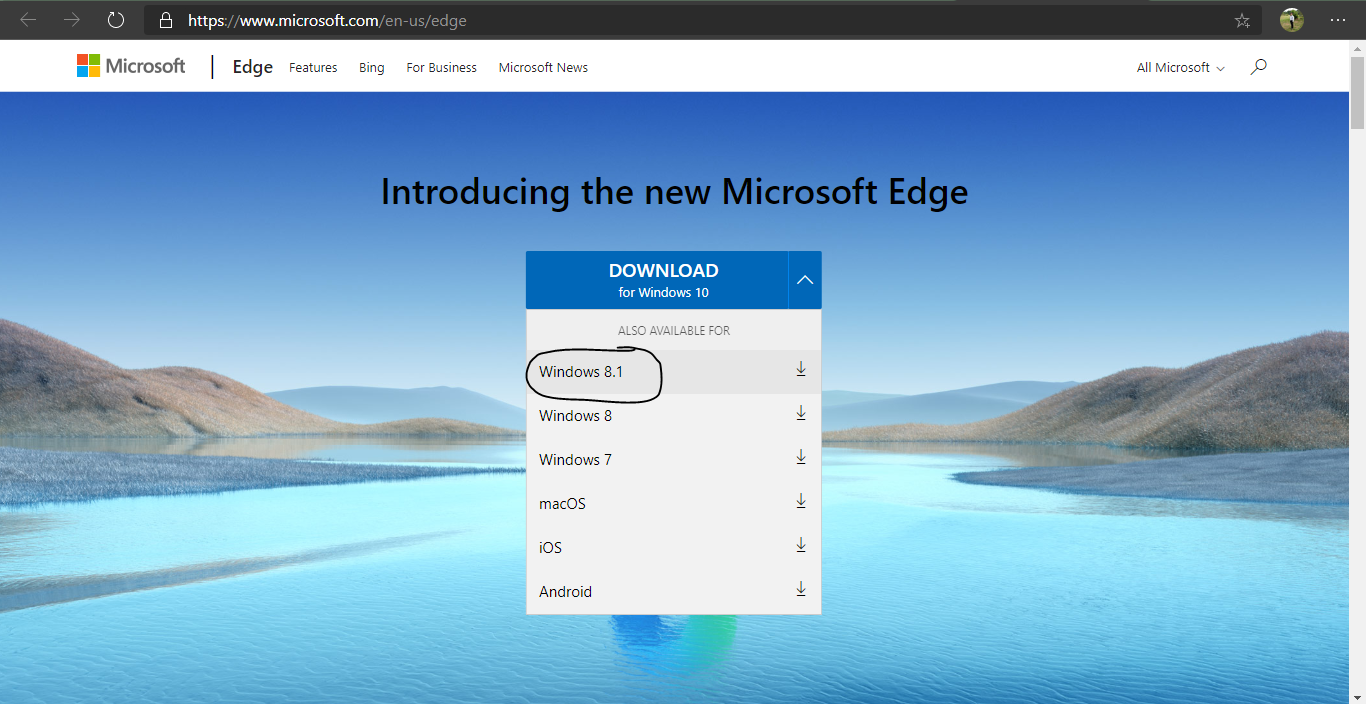 Microsoft Edge Keeps Crashing On Windows 8.1 Pro ...