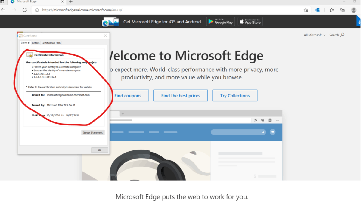 How do I check the validity of an SSL certificate on the MS Edge