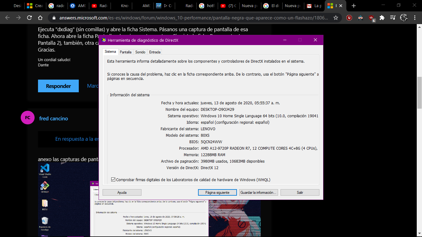 Instalar best sale drivers radeon