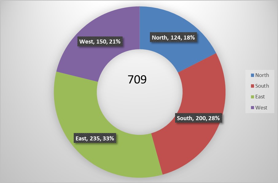 How can i set the 2025 total in a pie chart