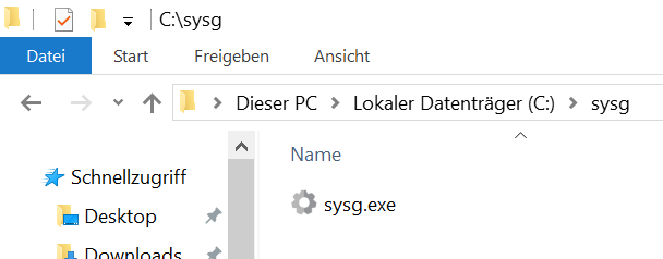 sysg.exe ???