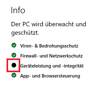 Geräteleistung und Integrität auf der Infoseite schwarz