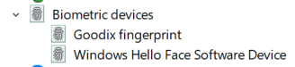 Windows Hello Face, 