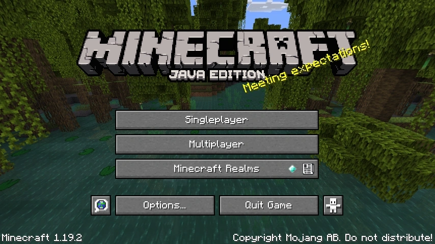 Double-player graphic bug - Discussion - Minecraft: Java Edition -  Minecraft Forum - Minecraft Forum