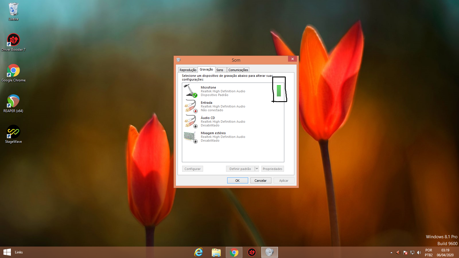 Tulip Driver Download For Windows