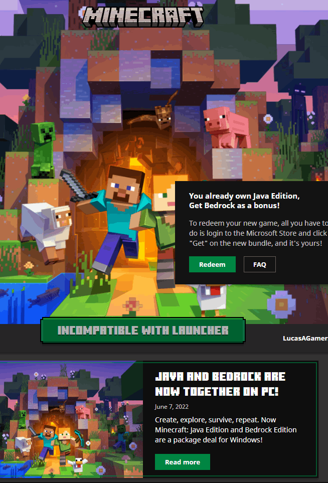 Minecraft Java or Bedrock Edition