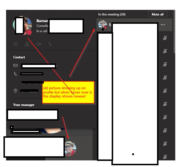 display-photo-in-teams-meetings-not-same-main-teams-photo-showing