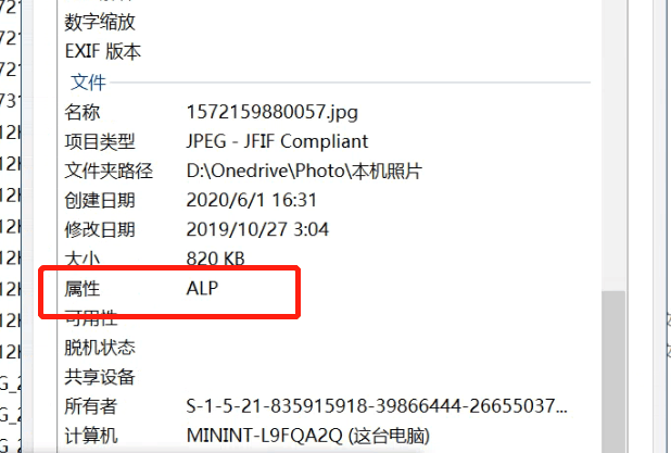 文件访问异常，无法复制，修改，文件属性为ALP - Microsoft Community