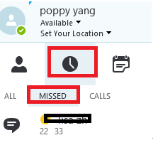 Skype conversation history