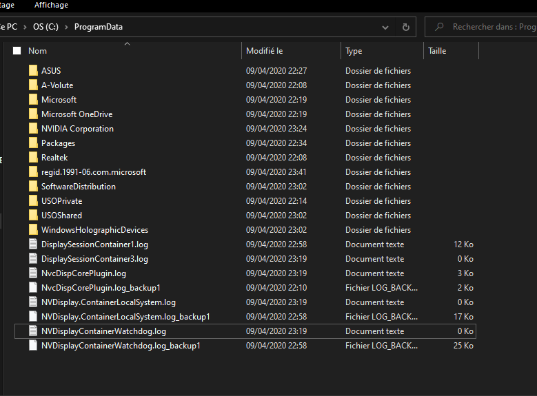 Échec de l'installation du pilote audio Realtek code 0001 dans Windows 10 