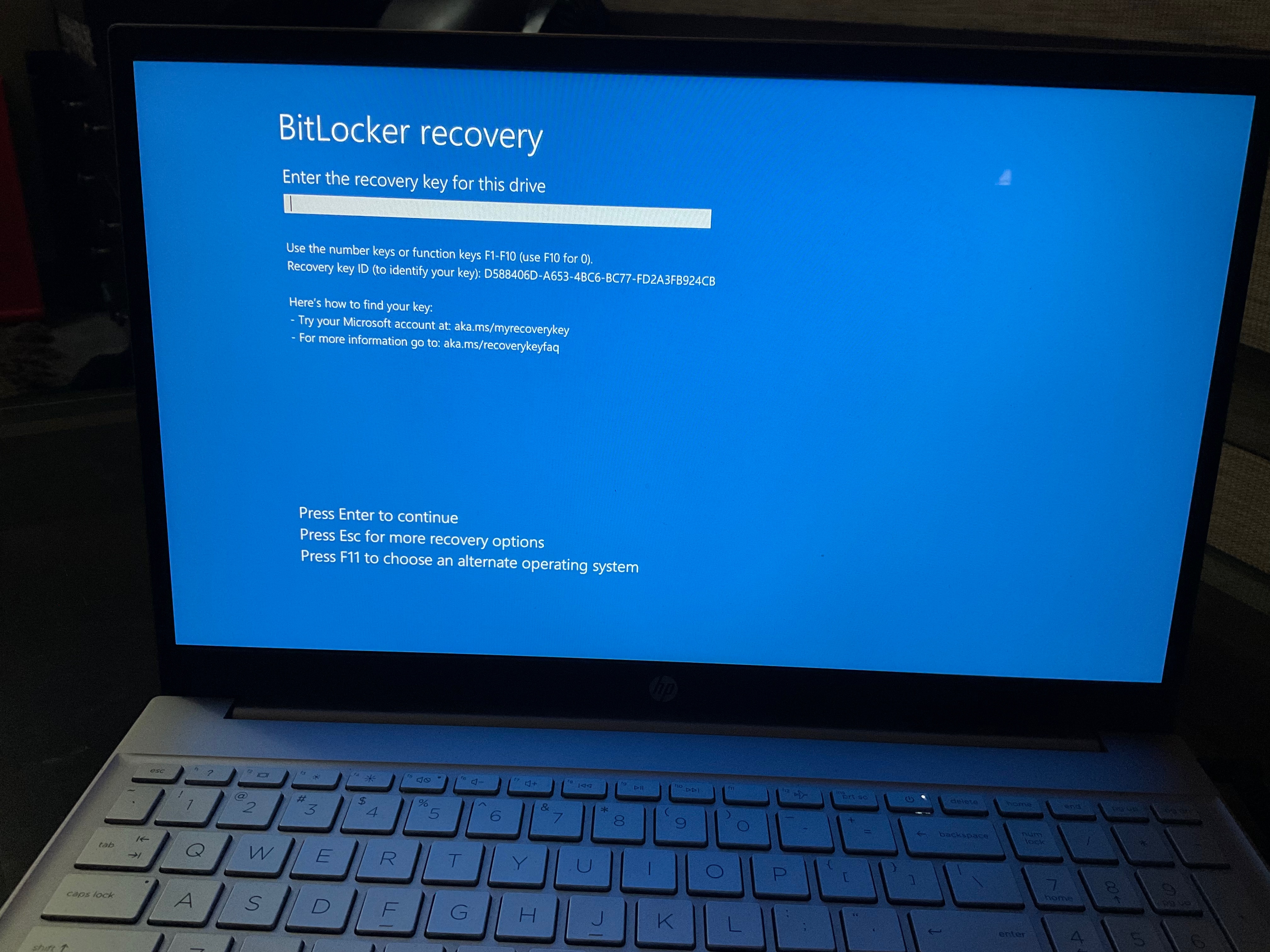 Stuck on bitlocker recovery key screen after trying to reset 