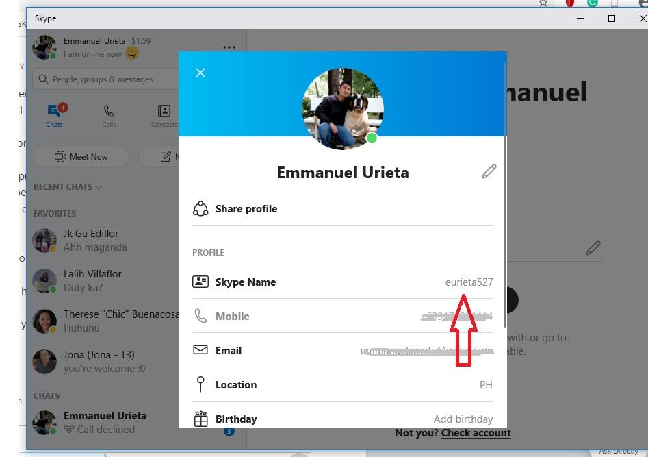 Skype Id Fake