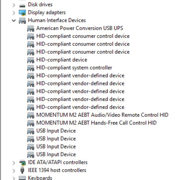 Momentum true wireless online 2 windows