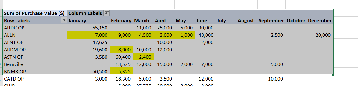 Pivot Table Cannot Filter Value