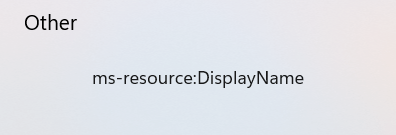 ms resource display name что это