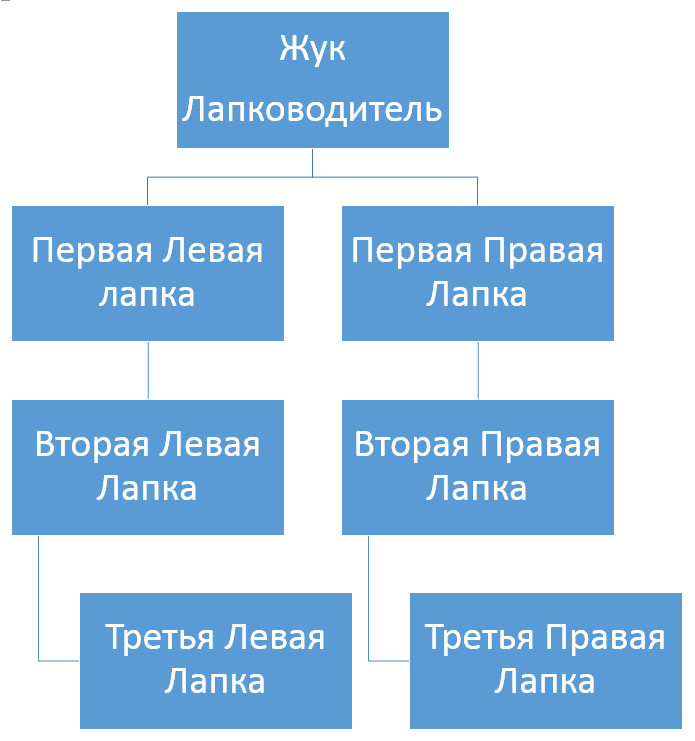 Структура microsoft