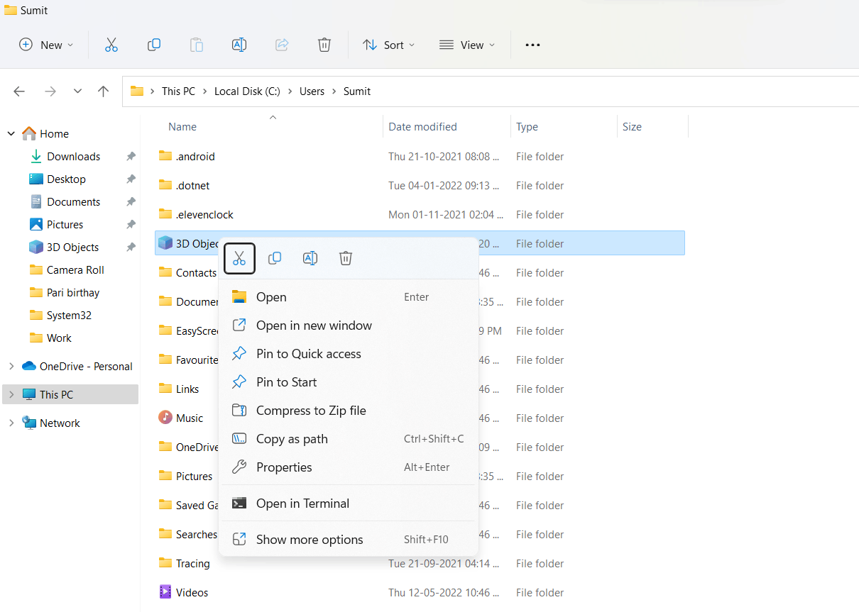 Windows 11 file explorer doesn't want to display 