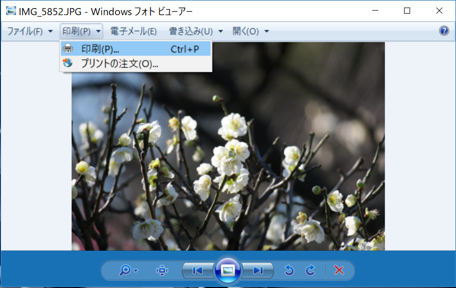 すべてのカタログ 立派な Windows フォト ビューアー 印刷