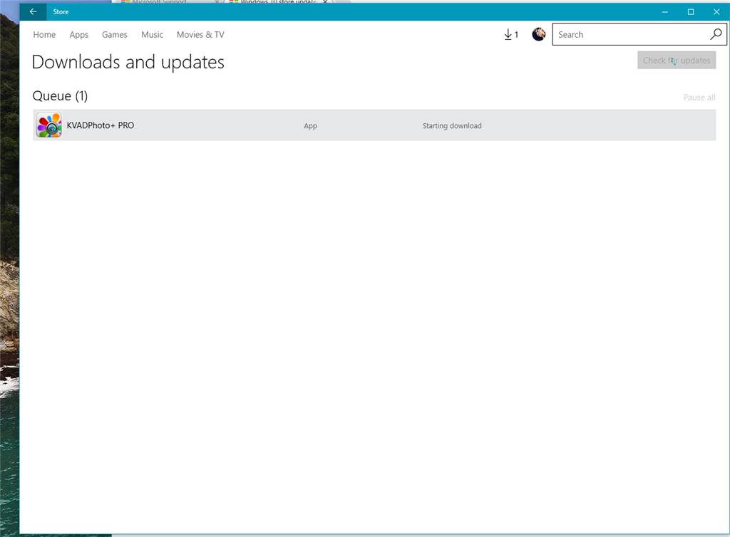 microsoft store wont download apps windows 10