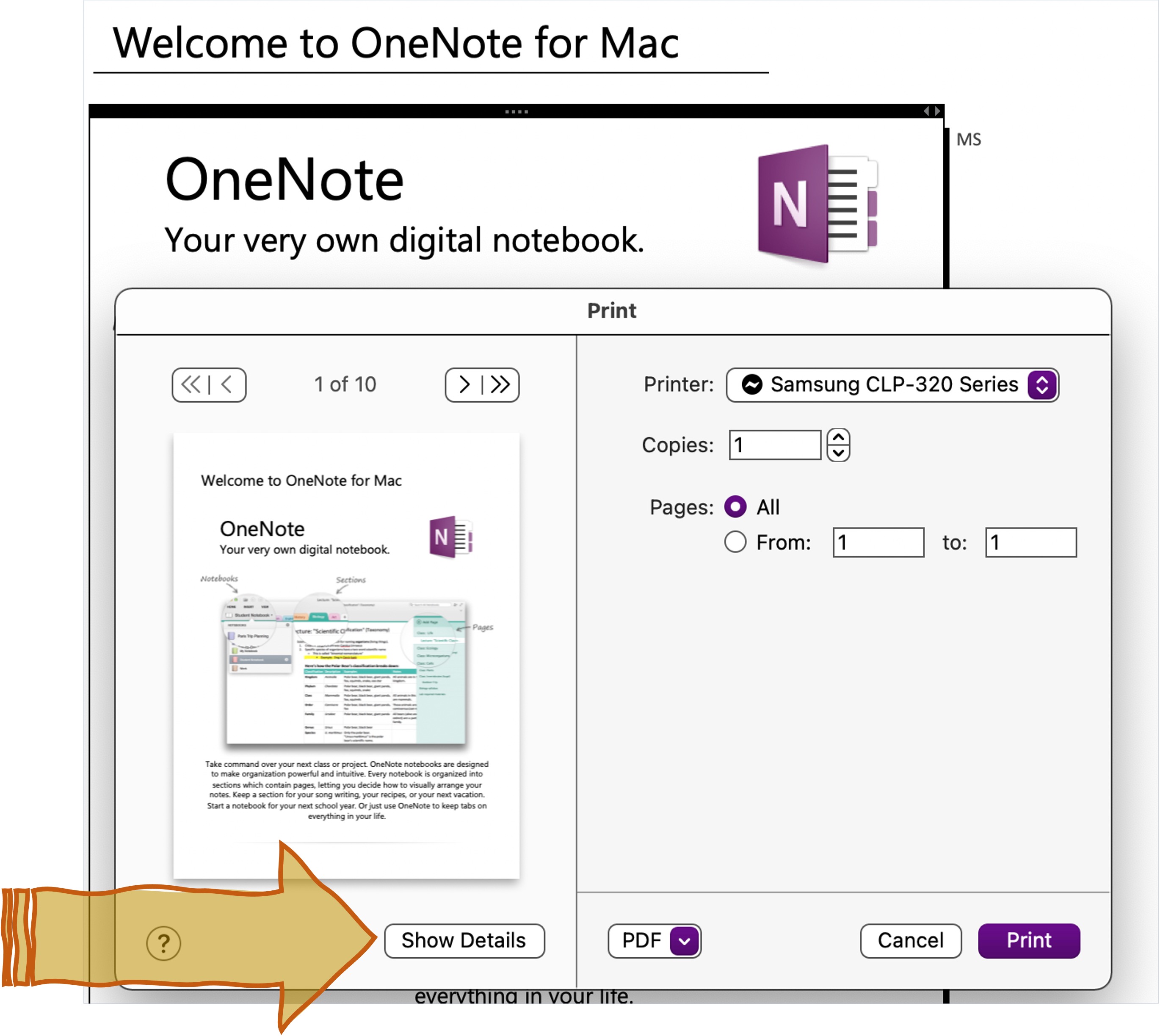 Change paper size microsoft onenote mac