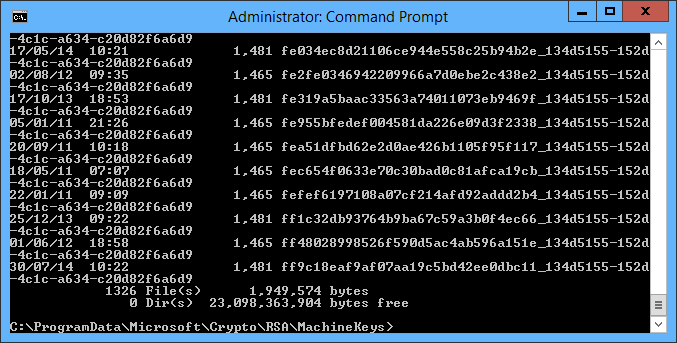 appdata roaming microsoft crypto rsa