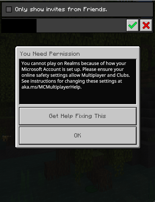 How to fix privacy and online safety setting in Minecraft PE 