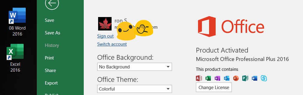 Icons Of Ms Office 19 Pro Plus Microsoft Community