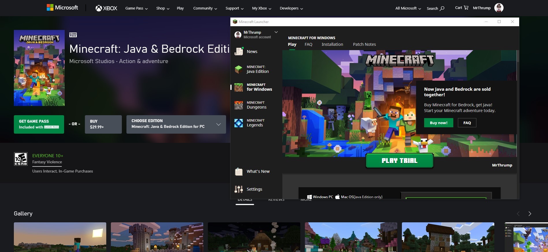 Minecraft's Bedrock and Java editions can now be bought together