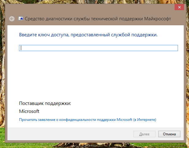Служба поддержки microsoft. Ключ доступа. Введите ключ доступа. Введите ключ доступа предоставленный службой поддержки. Доступ в компьютер ключом.