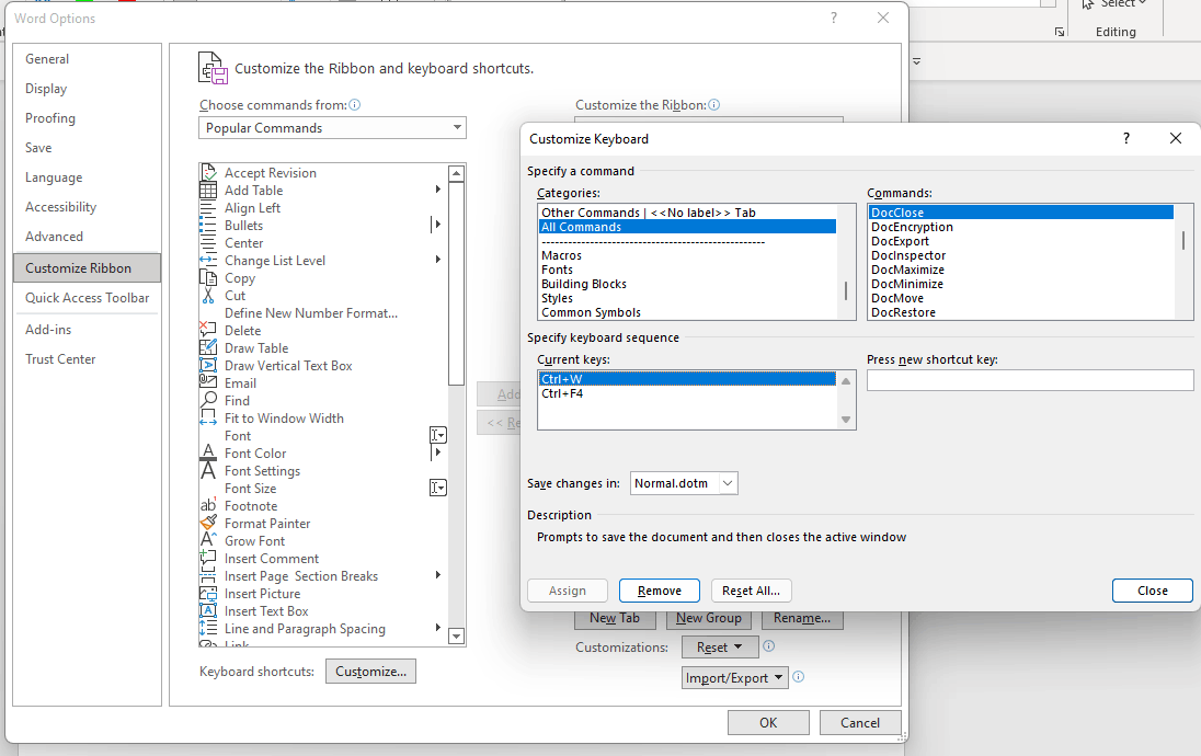 Disable Ctrl+W (File Close) Microsoft Community