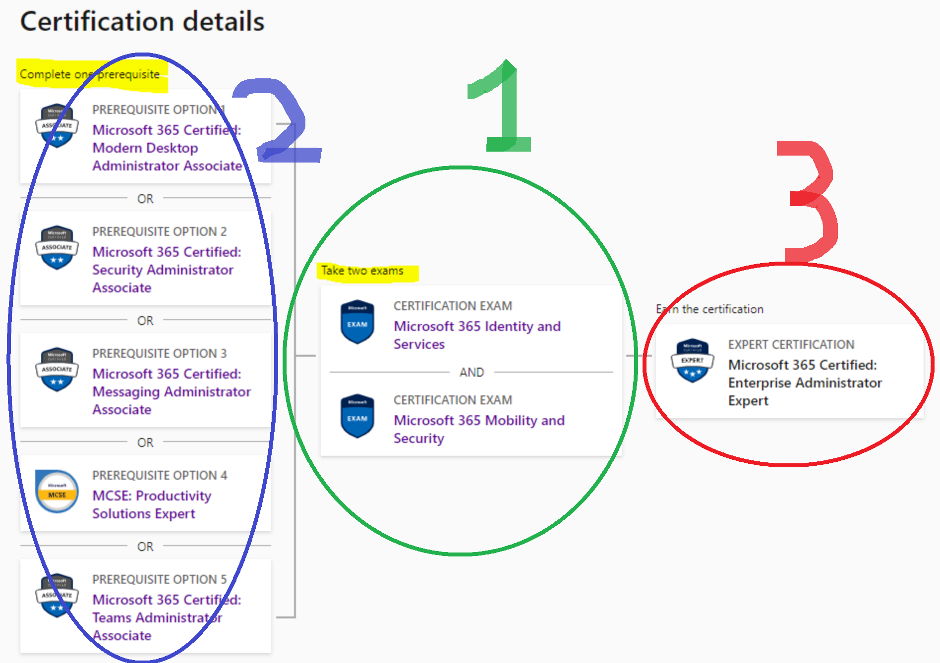 Microsoft 365 Exam's Path - Training, Certification, And Program Support