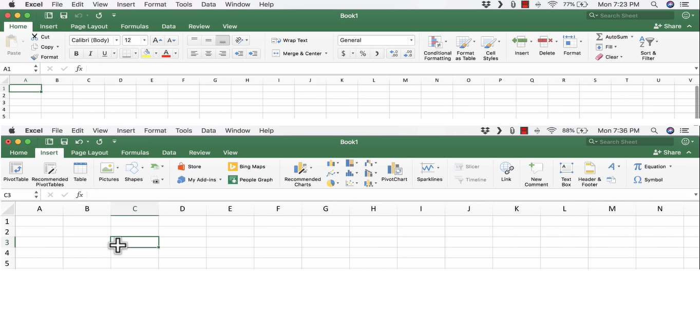 Microsoft Excel on Mac versus Excel on Windows